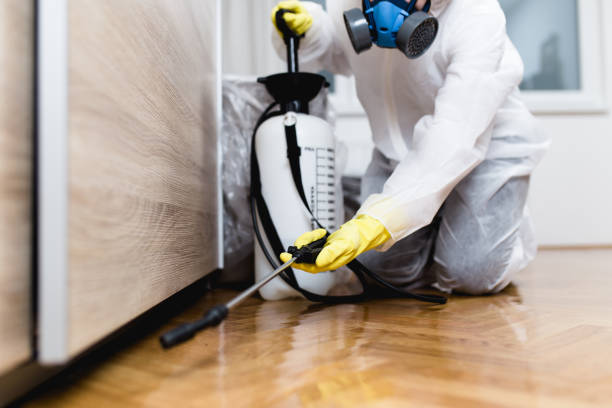 Best Emergency Pest Control  in Owingsville, KY