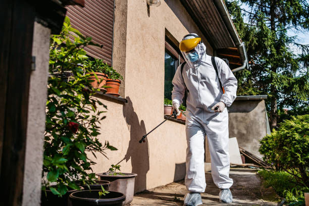 Best Mosquito Control Services  in Owingsville, KY