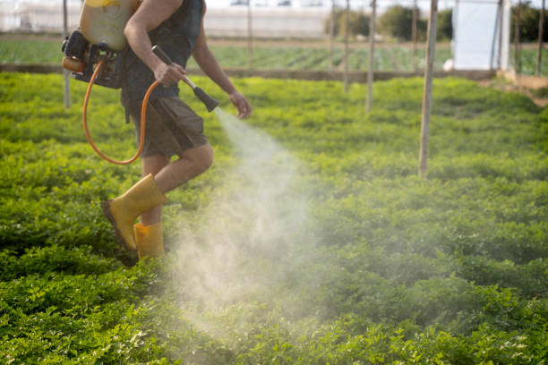 Best Exterminator Services  in Owingsville, KY