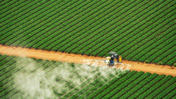Best Insect Control  in Owingsville, KY