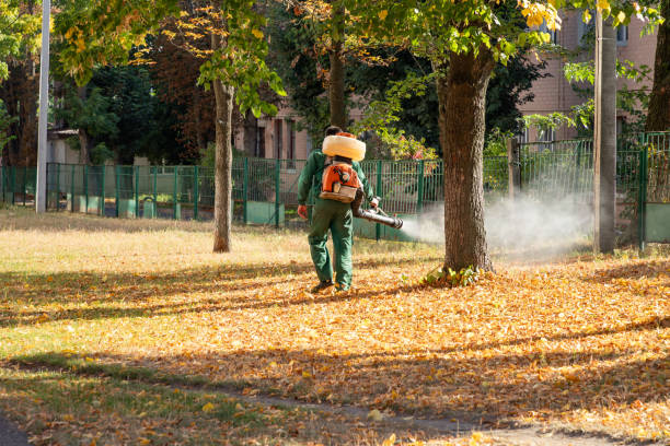 Best Pest Removal Services  in Owingsville, KY