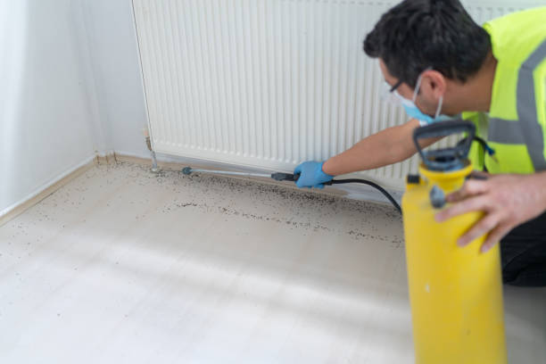 Best Cockroach Control Services  in Owingsville, KY