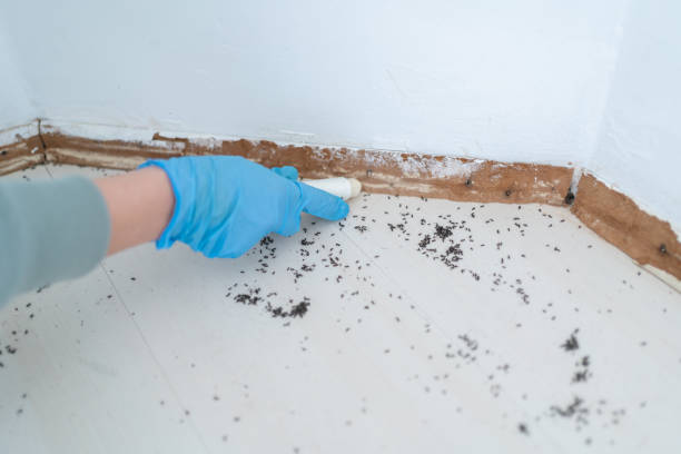 Best Wildlife Control Services  in Owingsville, KY